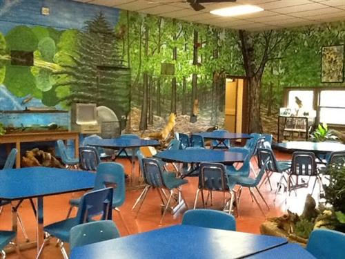 A view of the nature hall with the new murals on the walls